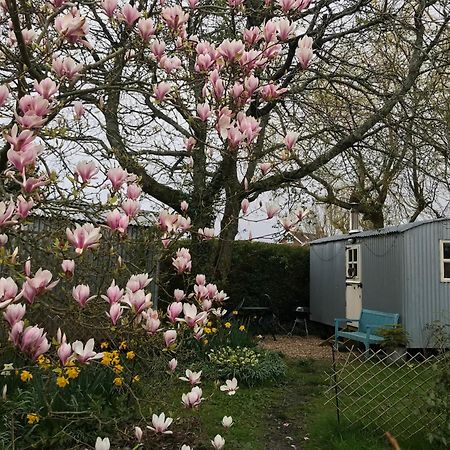 The Wayside Shepherd Hut Beaulieu Exteriér fotografie