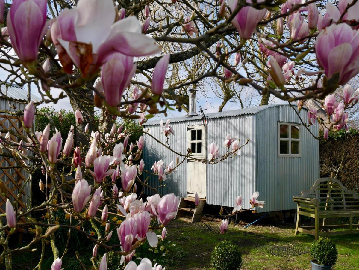 The Wayside Shepherd Hut Beaulieu Exteriér fotografie