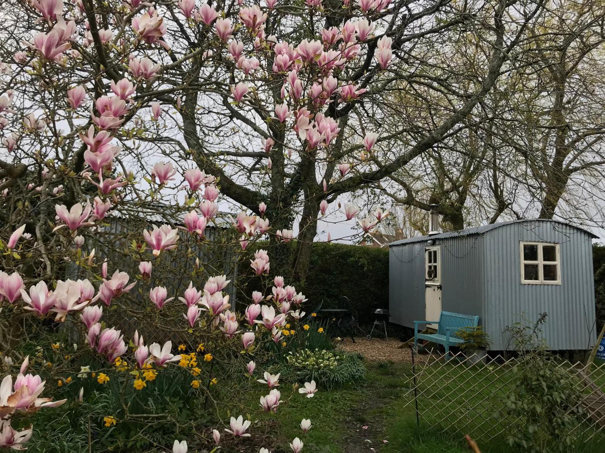 The Wayside Shepherd Hut Beaulieu Exteriér fotografie