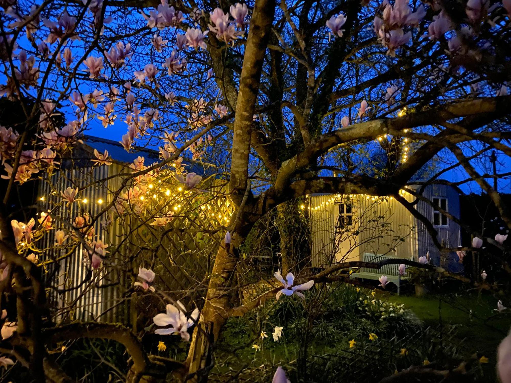 The Wayside Shepherd Hut Beaulieu Exteriér fotografie